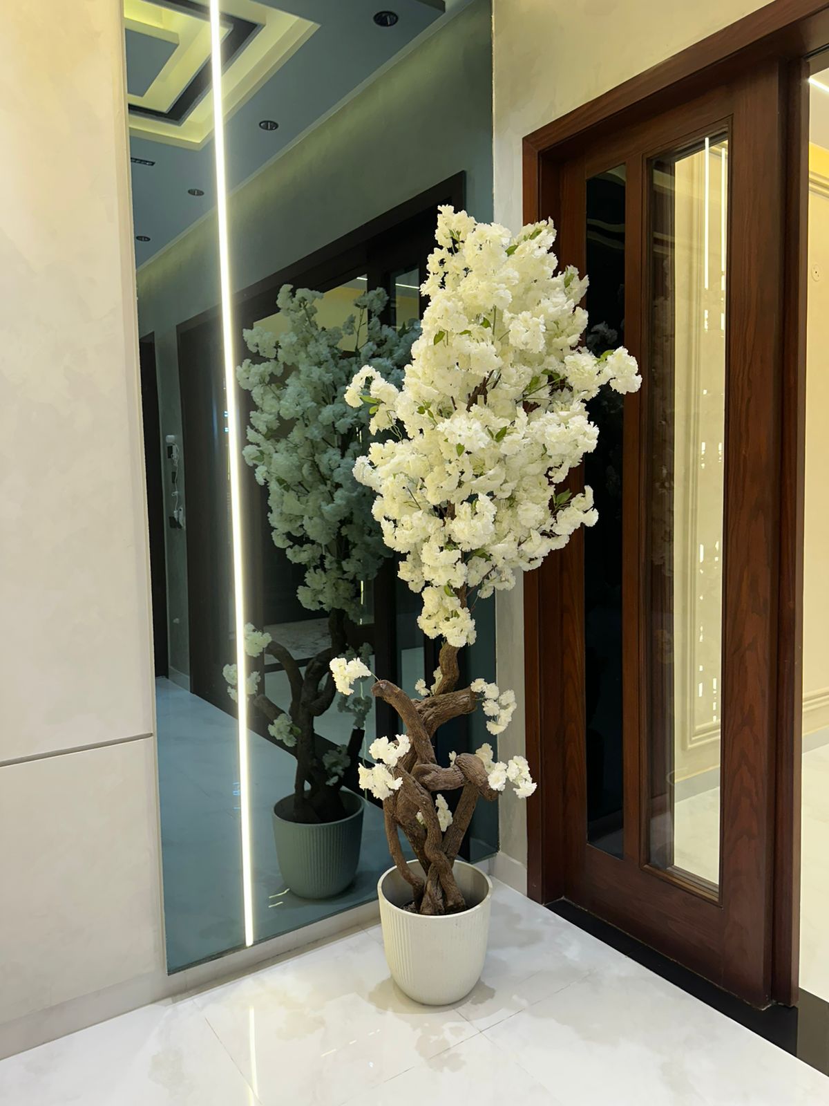 10 Marla Luxury Designer House - Image 6